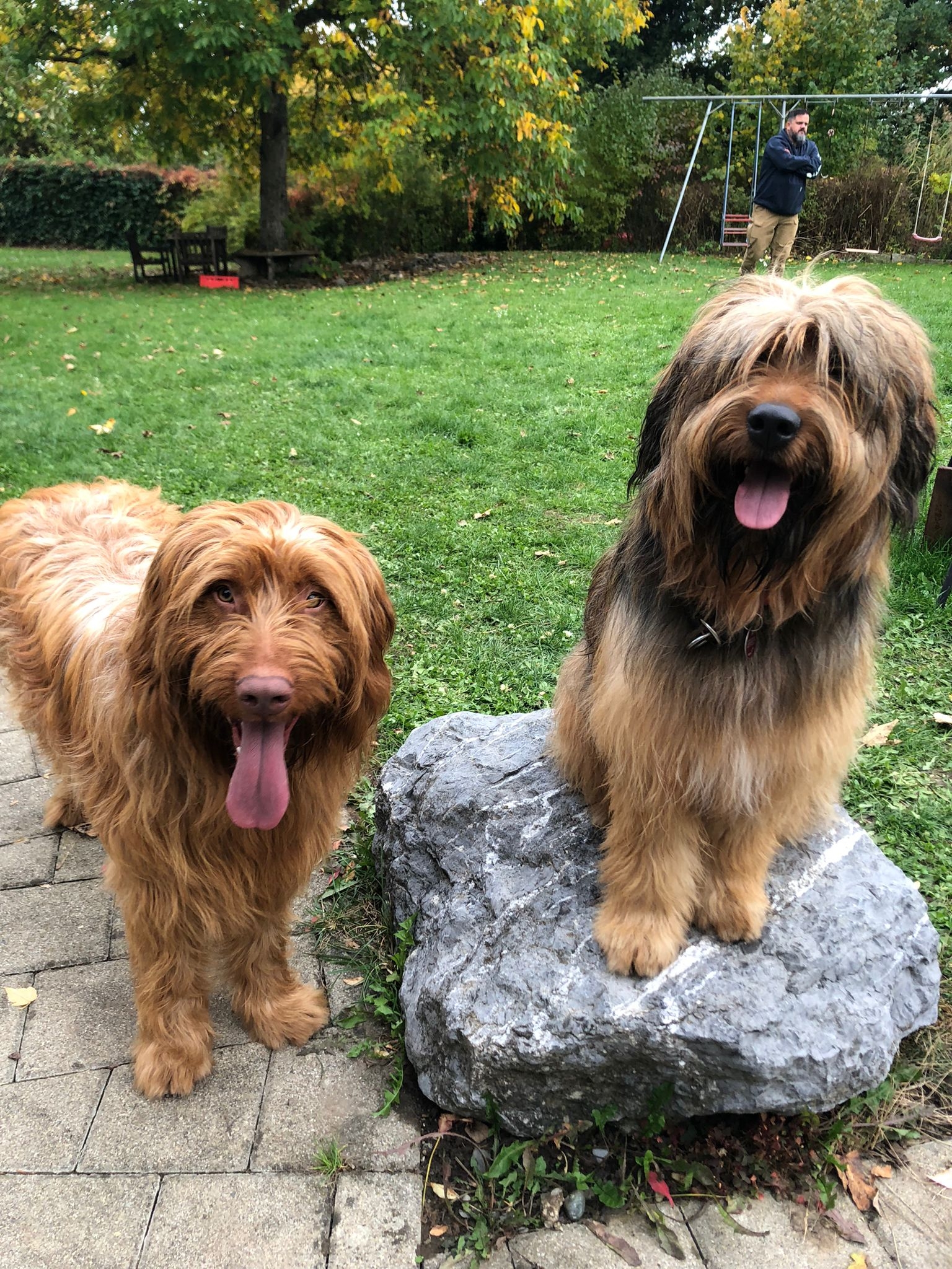 Wäller von der Straubenhalde